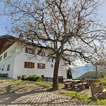 Moar Im Rumsein - Apt Etschblick San Genesio Atesino Exterior foto